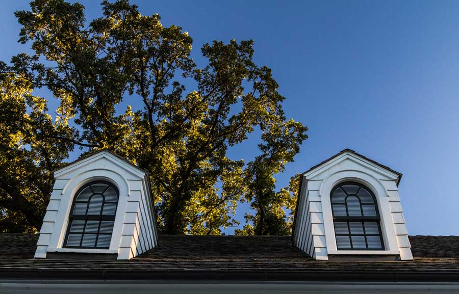 House with two dormer windows on the roof, surrounded by a tree and a clear blue sky