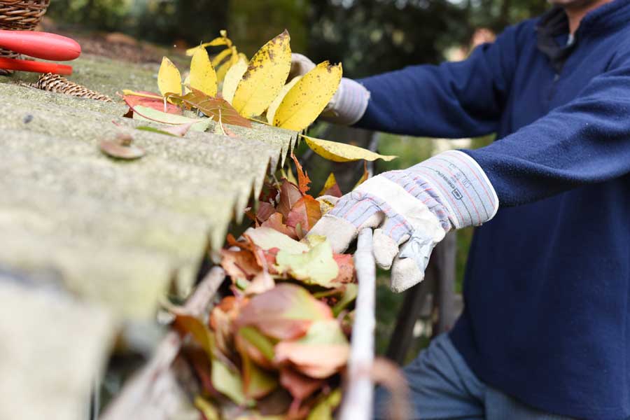 Man wearing gloves and holding a rake, removing leaves from a gutter