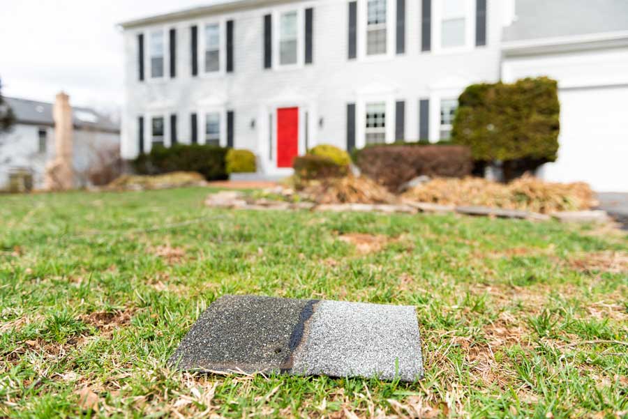 House with a red door in the middle of a grassy area, surrounded by trees and plants