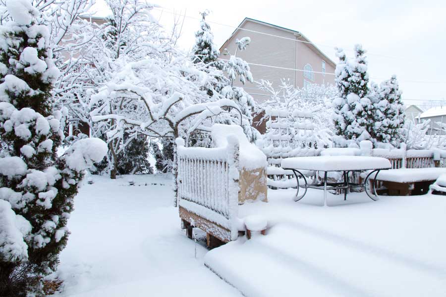 Snow covered patio with a table and chairs surrounded by trees and buildings in the background