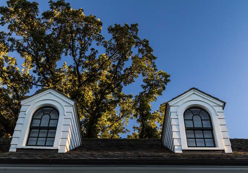 House with two dormer windows on the roof, surrounded by a tree and a clear blue sky