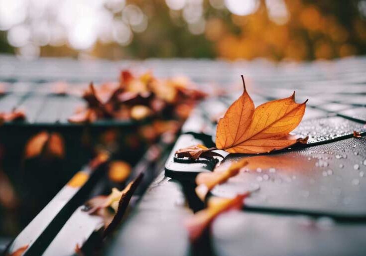 Car with a few autumn leaves scattered on its roof, glistening with water droplets