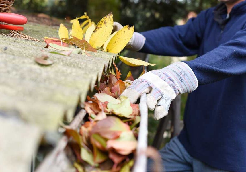 Man wearing gloves and holding a rake, removing leaves from a gutter