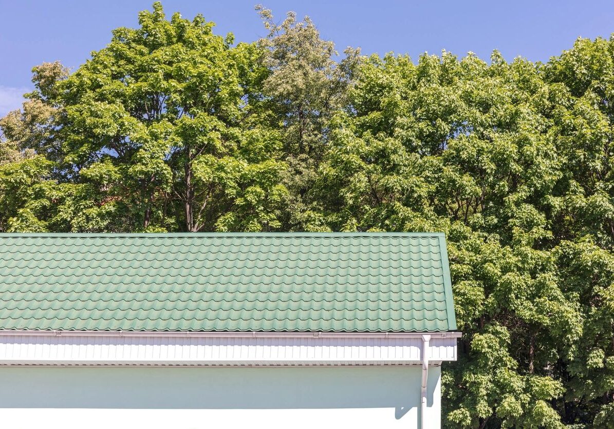 White building with a green metal roof, surrounded by trees and a clear blue sky